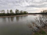 Imagine atasata: 15134.jpg